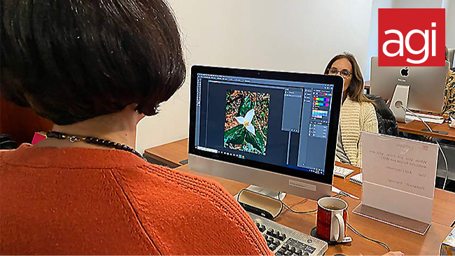 Live Photoshop instructor in both in-person and online classes.