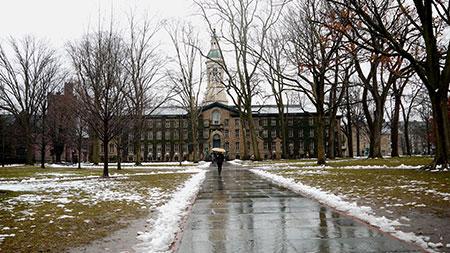 Princeton UX Certificate programs for user experience design