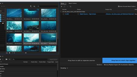 Adobe Premiere Pro courses and classes